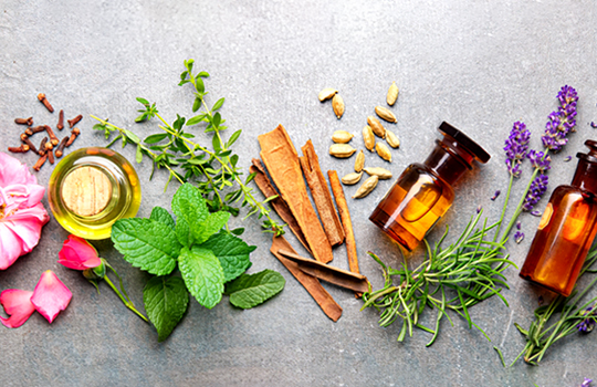Fragrances header image